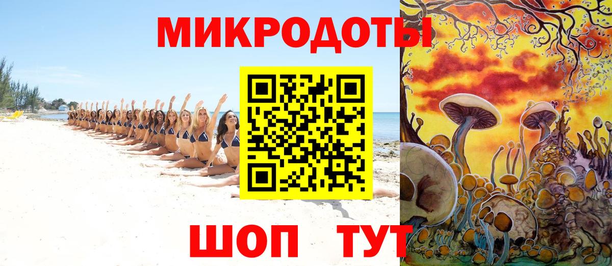 Хасавюрт  купить наркотики сайты  Вход с VPN  Псилоцибиновые грибы Psilocybe 