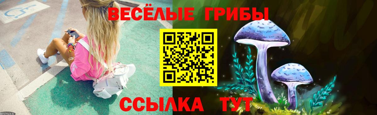 Псилоцибиновые грибы GOLDEN TEACHER Хасавюрт